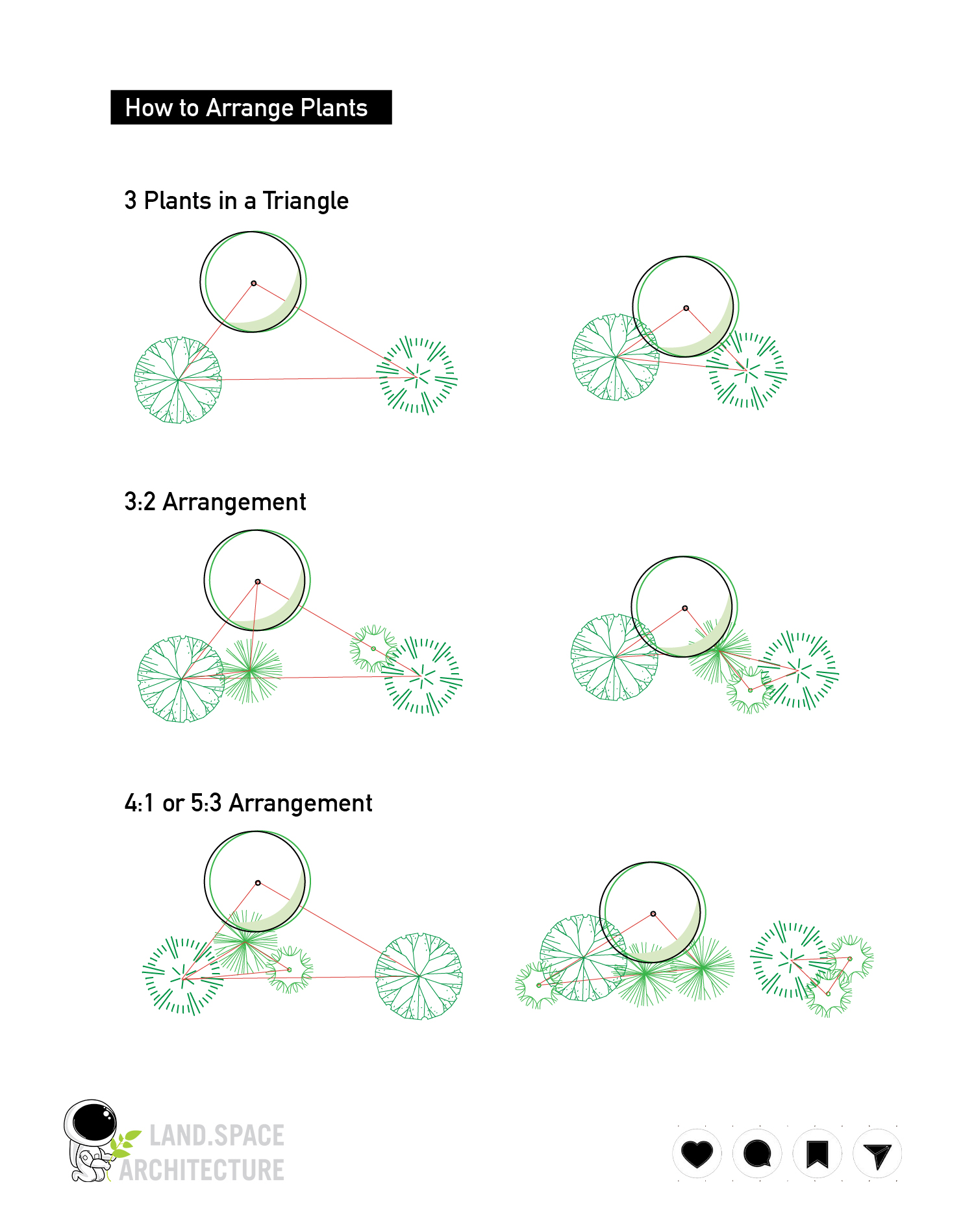 How to Arrange Plants in Landscape Design