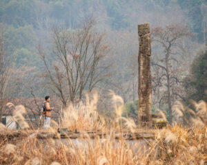 University of Hong Kong for the degree Master of Landscape Architecture