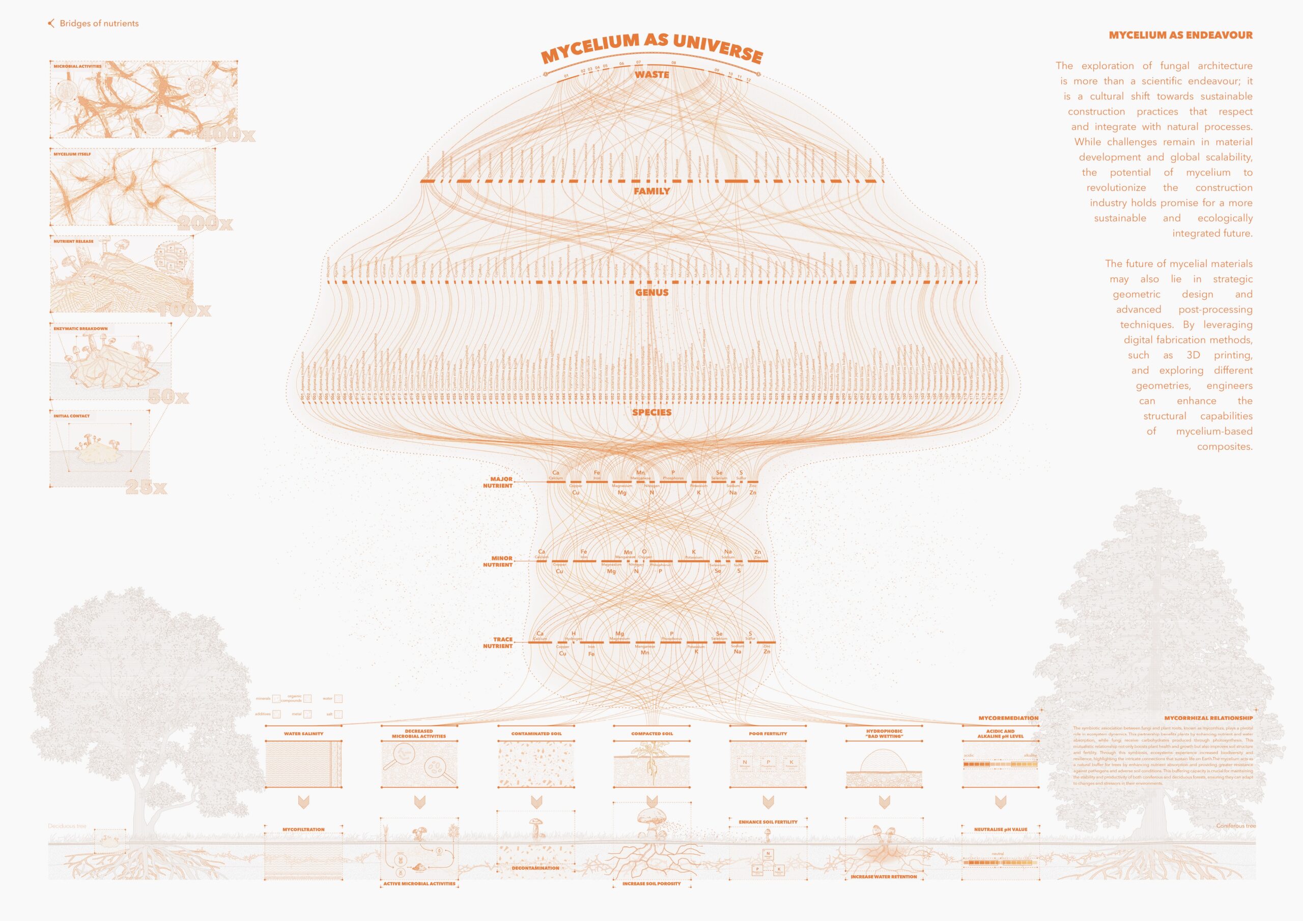 Redefining Mycoscape