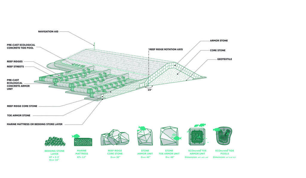 Landscape Architects Rise to the Challenge of Coastal Flooding