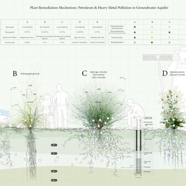 Revealing the Invisibles