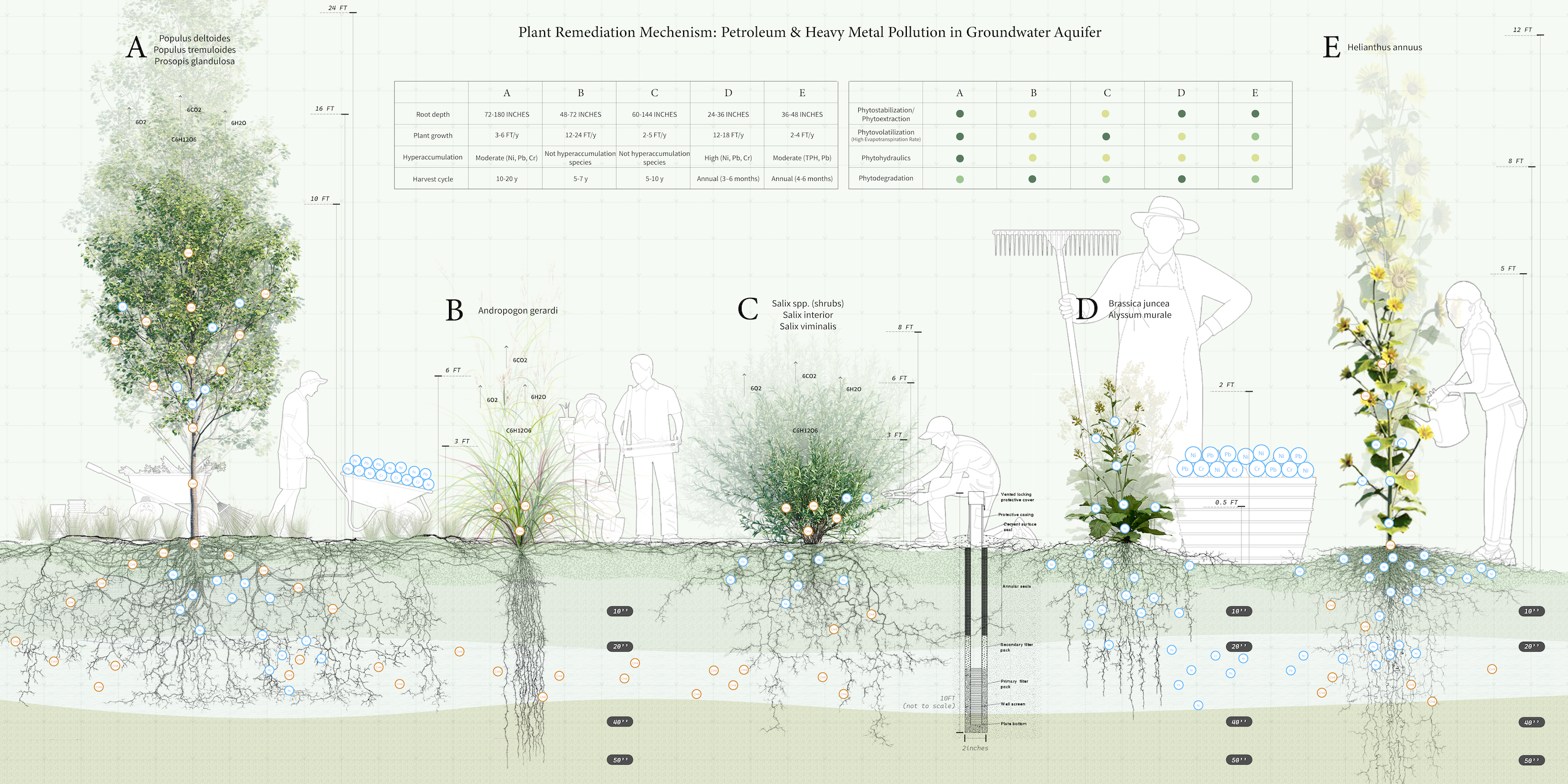 Revealing the Invisibles